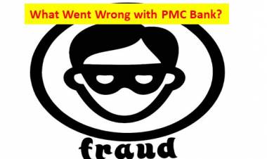 What Went Wrong with PMC Bank?