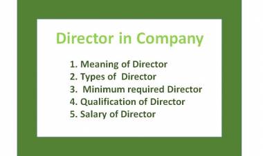 Director in Company